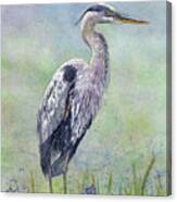 Spring Heron Canvas Print
