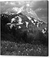 Spring On Sphinx Mountain Canvas Print
