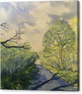 Spring Shadows On Woldgate Canvas Print