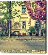 Spring-time In Budapest Canvas Print