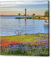 Spring Wildflowers Of Lake Buchanan Canvas Print