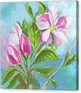 Springtime Apple Blossoms Canvas Print