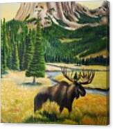 Square Top Evening With Moose Canvas Print