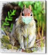 Mask Up - Squirrel Canvas Print