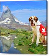 St. Bernard Dog In Switzerland Canvas Print