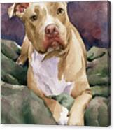 Staffordshire Terrier Dog Art Canvas Print