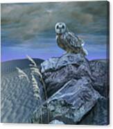 Stalking Owl Canvas Print