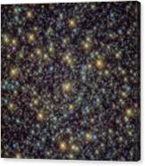 Standout Stars Canvas Print