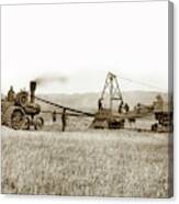 Steam Tractor, Hay Wagon And Steam Threshing Machine Salinas Valley Canvas Print