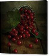 Still Life With Red Currants Canvas Print