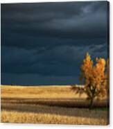 Storm Over The Nebraska Plains Canvas Print