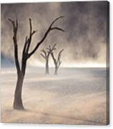 Stormy Deadvlei Canvas Print