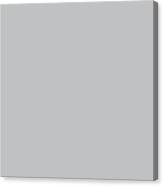 Stormy Grey - Light Neutral Mid Tone Gray Solid Color Canvas Print