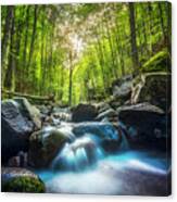 Stream Waterfall Inside A Forest. Tuscany Canvas Print