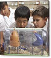 Students In Class With The Class Pet Canvas Print