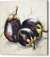 Study Of 3 Eggplants After Charles Demuth Canvas Print