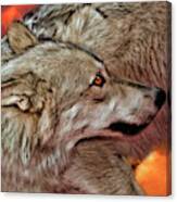 Submissive Wolf Canvas Print