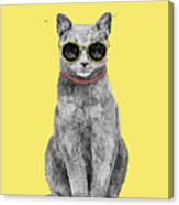 Summer Cat Canvas Print