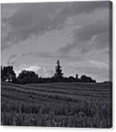 Summer Clouds Canvas Print