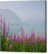 Summer Splendor At Bow Lake Canvas Print