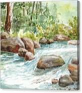 Summer Stream - Broad River #4 Canvas Print