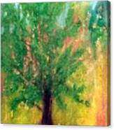 Summer Tree Canvas Print