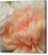 Summertime Blooms 05-ramona Murdock Art Canvas Print