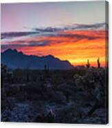 Sun Rising In The Sonoran Canvas Print
