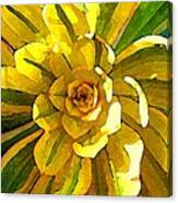 Sunburst Succulent Square Canvas Print