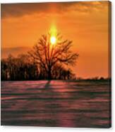 Suncatcher - Sunset With Sun Pillar Behind A Solitary Oak Tree In Winter Wi Field Canvas Print