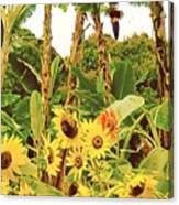 Sunflower And Banana Trees Summer Canvas Print