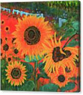 Sunflower Life Canvas Print