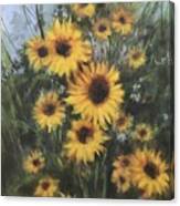 Sunflower Proposal Canvas Print