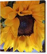 Sunflower Series 1-3 Canvas Print