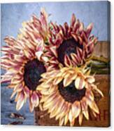 Sunflowers And Crate 2 Canvas Print