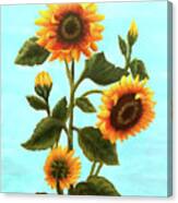 Sunflowers On Blue Canvas Print
