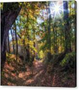 Sunken Trace At The Ford Canvas Print