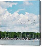 Sunny Marina View Painted Canvas Print