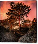 Sunrise Light On Sunset Mt., Gloucester Ma. Canvas Print