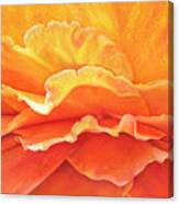 Sunrise Rose Canvas Print