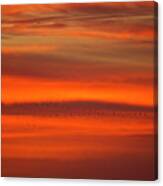 Sunset Cranes 2 Canvas Print