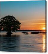 Cypress Sunset Two Canvas Print