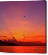 Sunset Dreaming Canvas Print