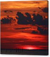 Sunset Flight Of The Osprey Canvas Print