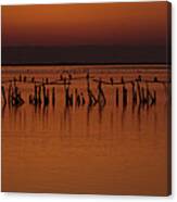 Sunset In Camargue Canvas Print