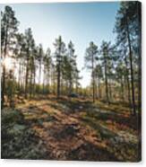 Sunset In The Finnish Wilderness Canvas Print