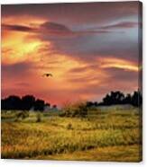 Sunset Meadow Canvas Print
