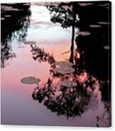Sunset On A Florida Pond Canvas Print