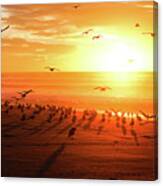 Sunset On The Beach And Flock Of Seagulls, California Canvas Print