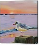 Sunset Perch Canvas Print